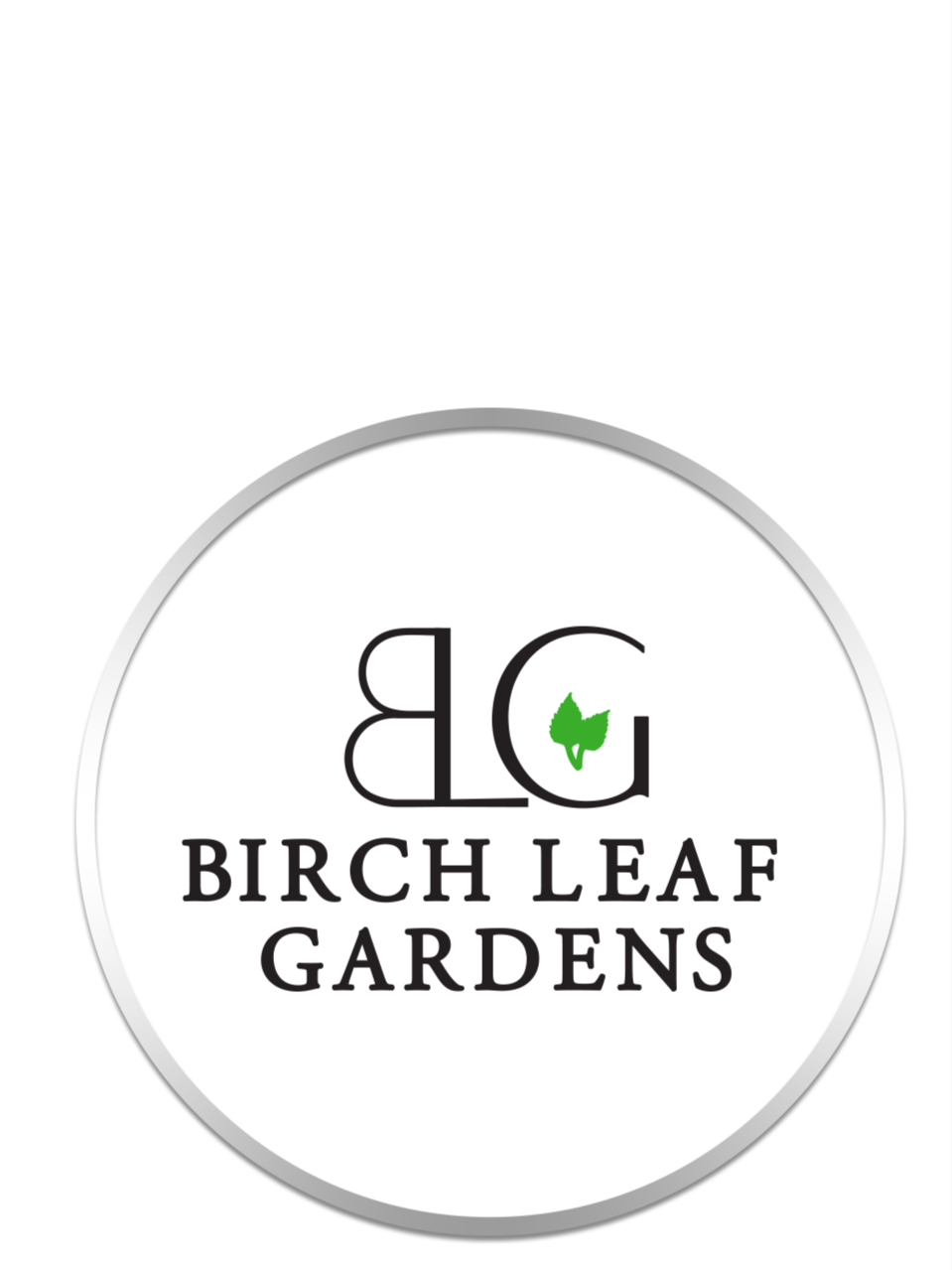 BLG+Cap+Mock+up.png