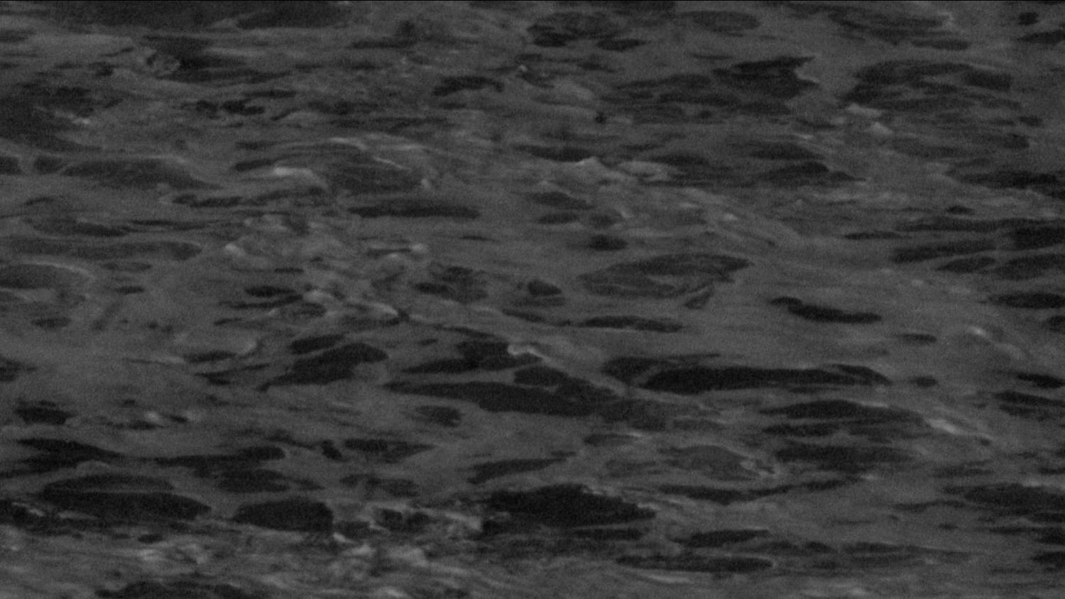 mhiof water.png