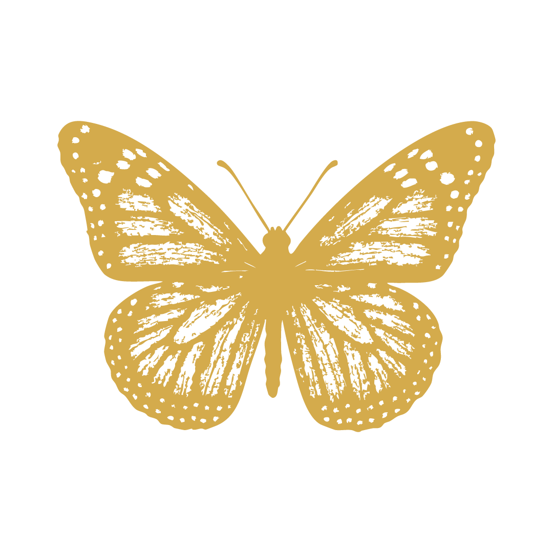 Gold butterfly silhouette on a black background