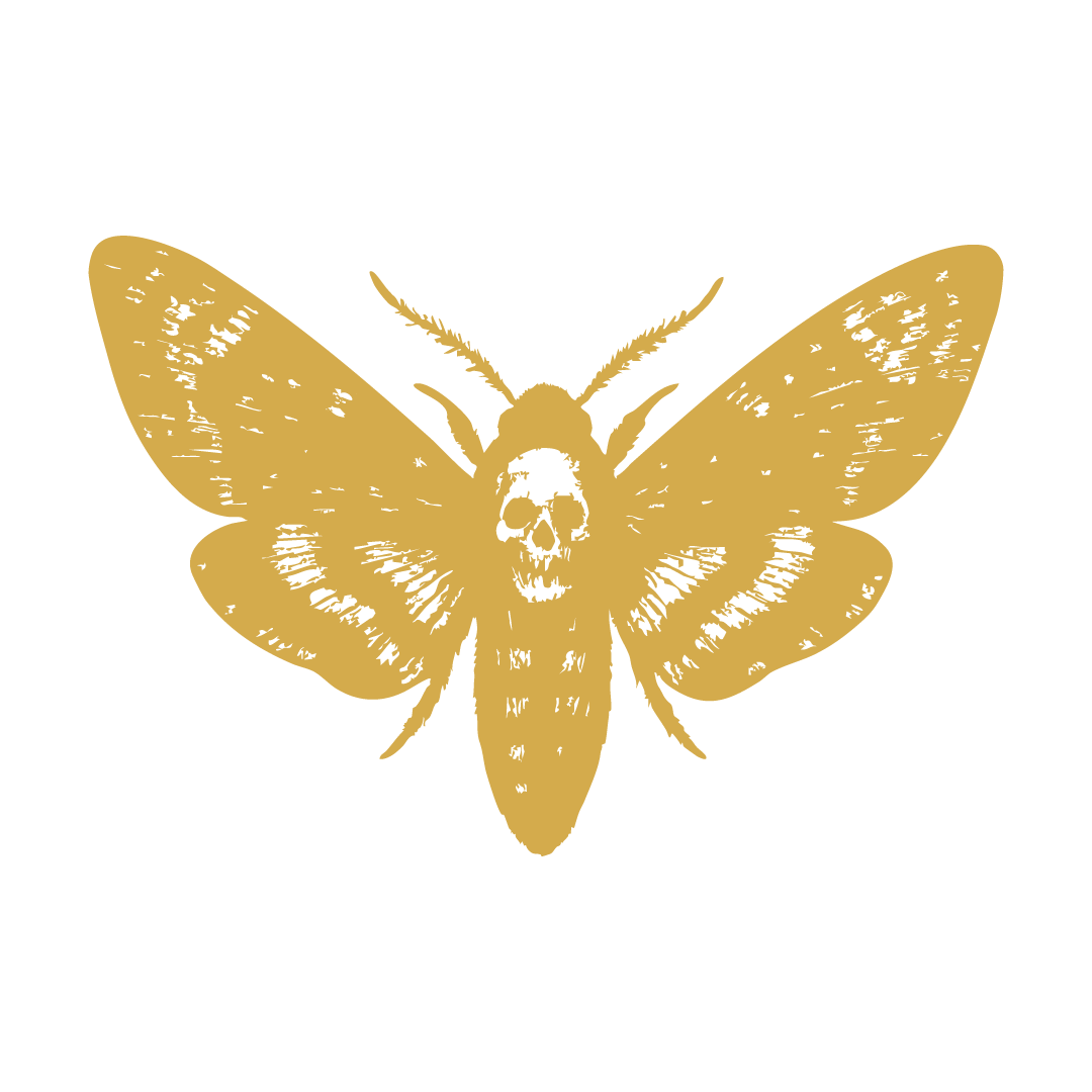 Gold moth with a skull face on a black background.