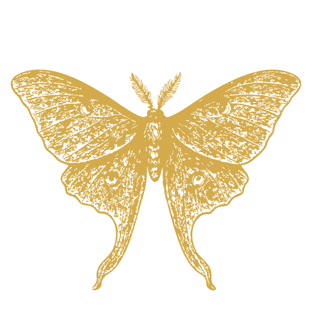 Gold-colored butterfly illustration on a black background.