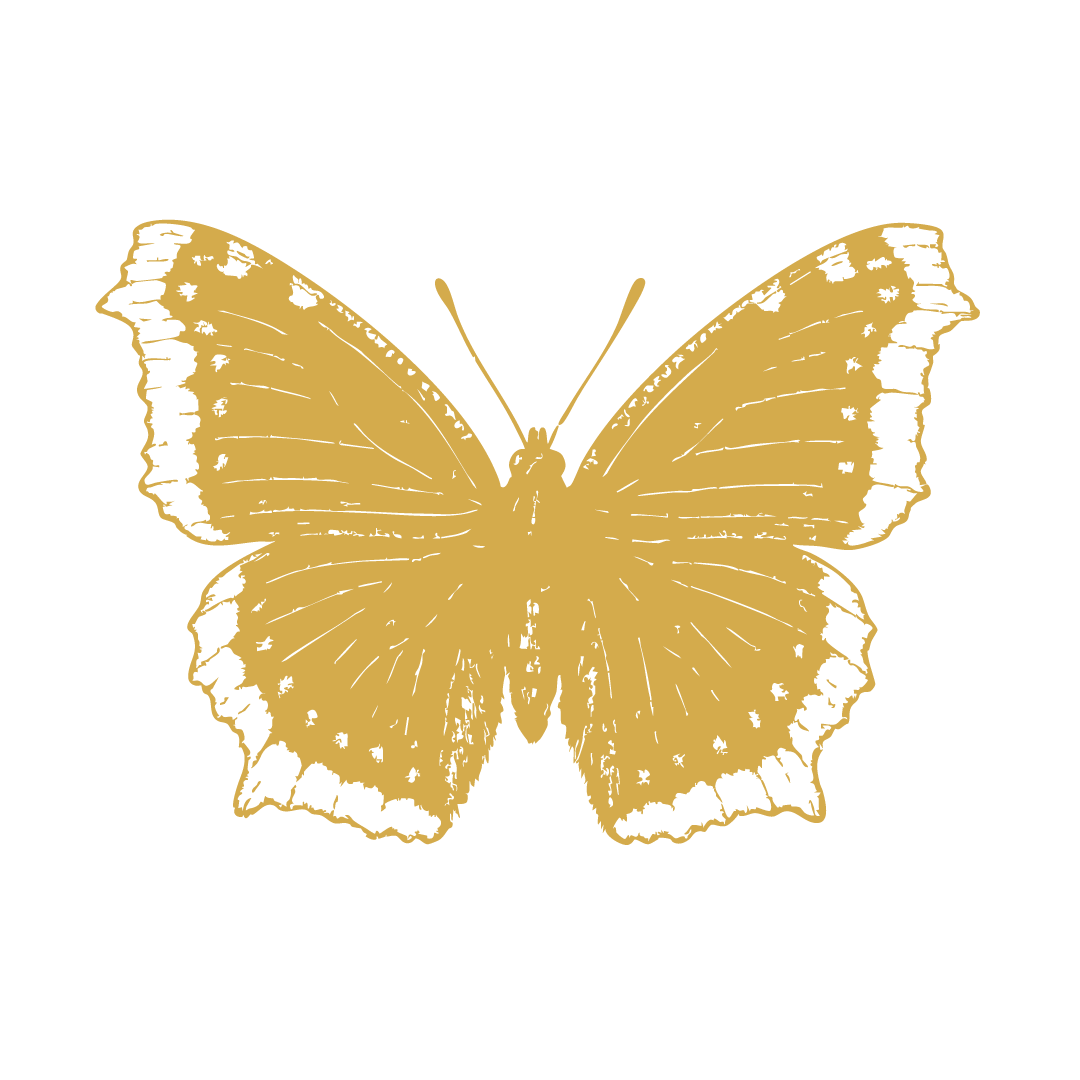 Gold butterfly illustration on white background.
