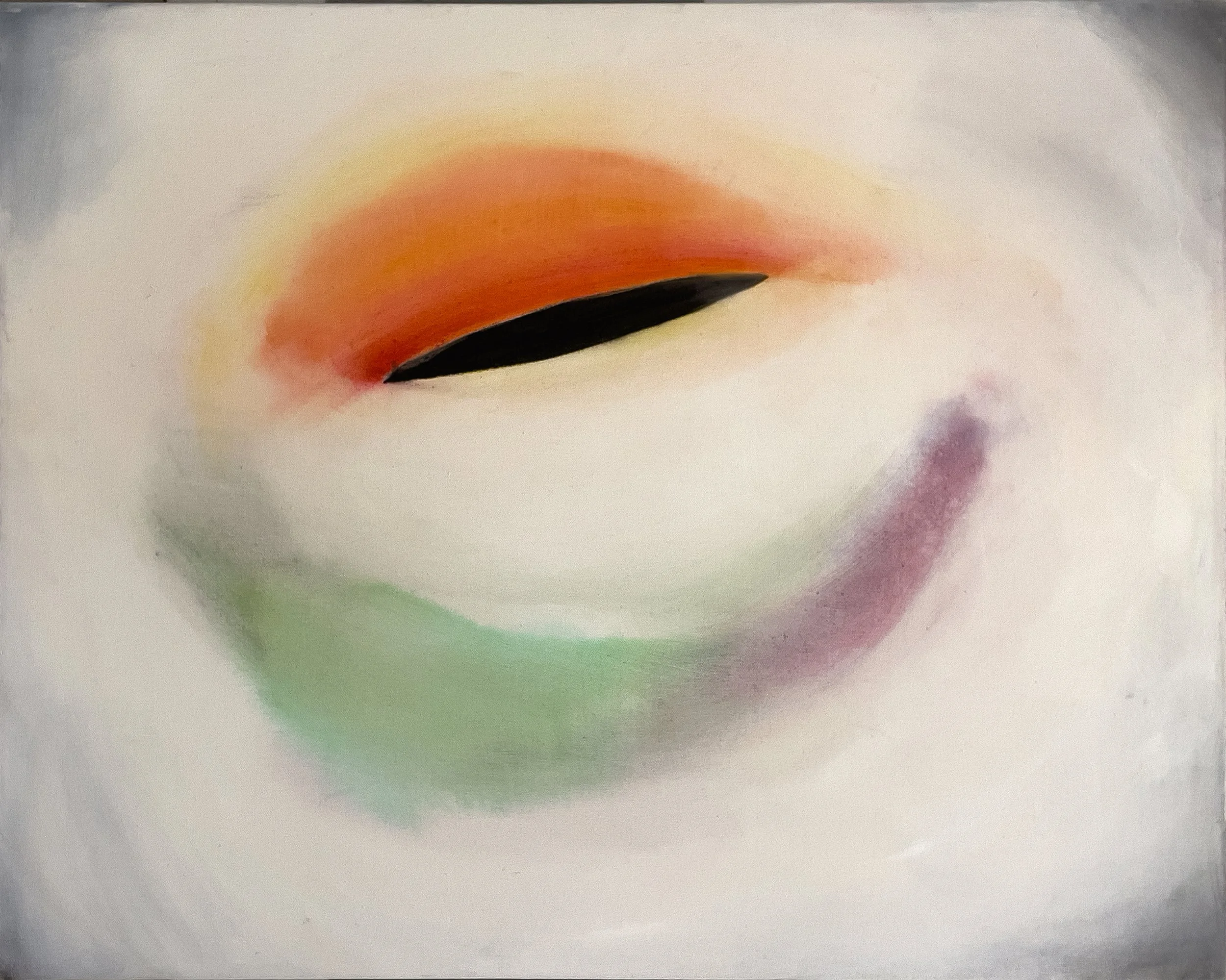 Eye Operation 2, 2007