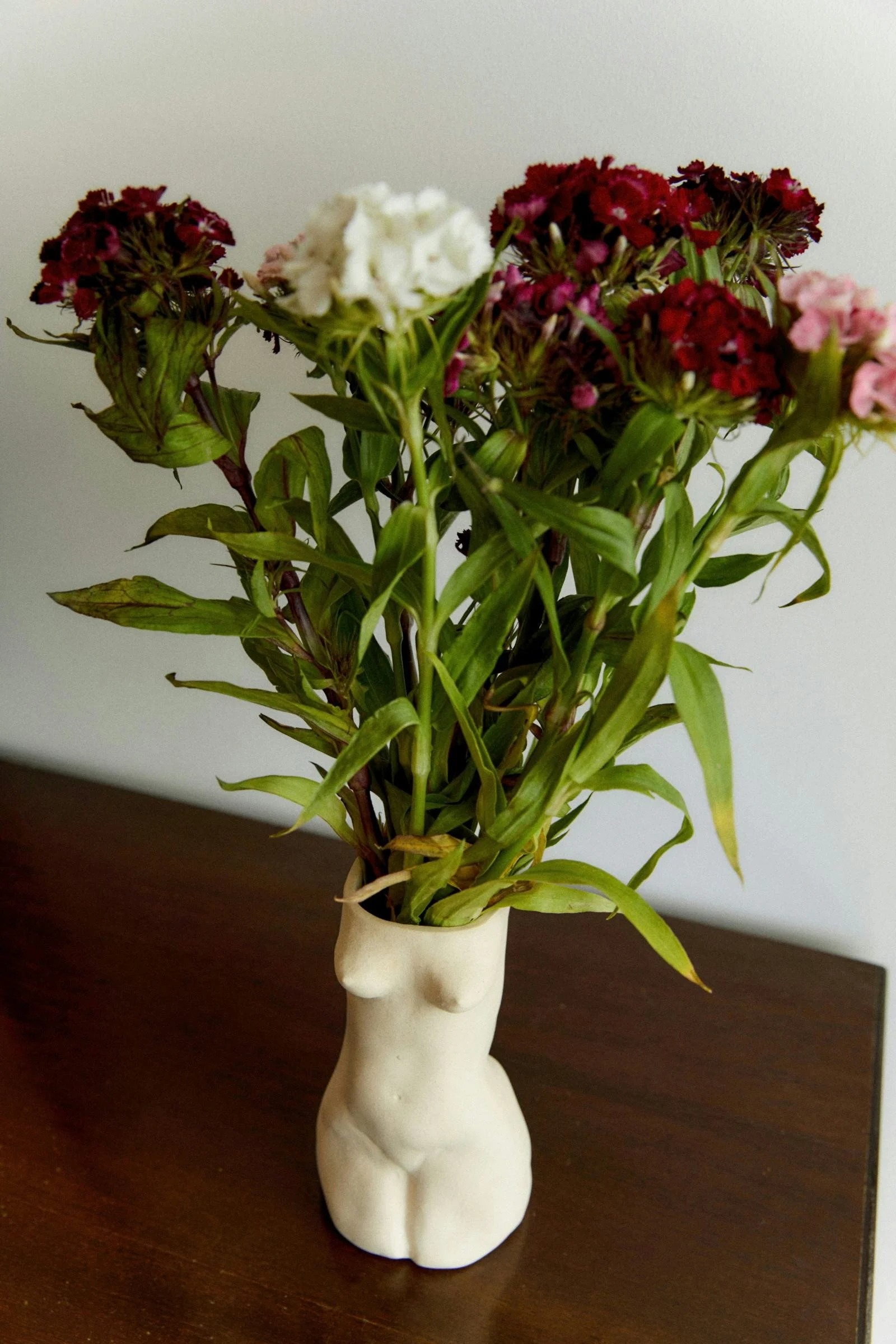 Book psychology and sex therapy appointments in Perth