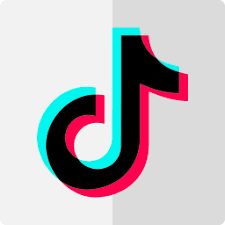 TikTok logo on a gray background