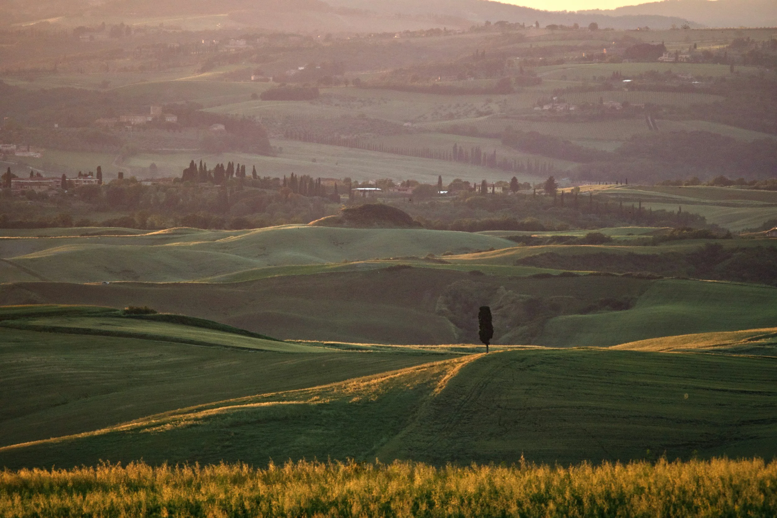 Rolling green hills with a single tall tree in the foreground, under a hazy sky with layers of distant hills and small buildings in the background.