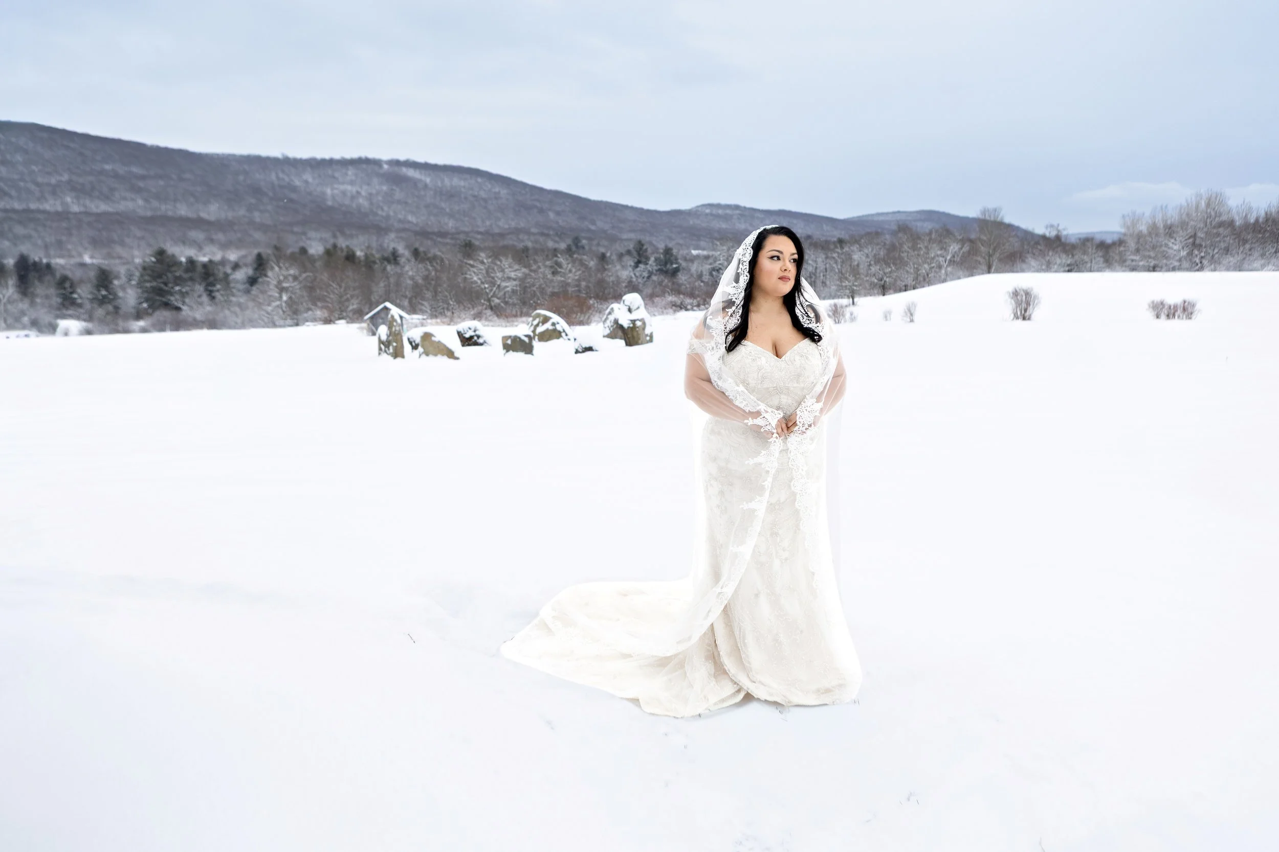 A woman in a wedding dress standing in a snowy landscape with mountains and trees in the background.