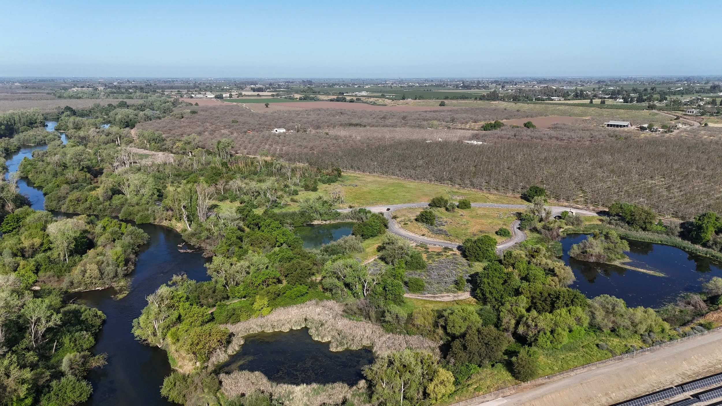 Agriculture, crop health, crop, trees, corn, California, Oakdale, imagery, photography, videography, inspections, creation, drone, certified, beautiful, terradrone
