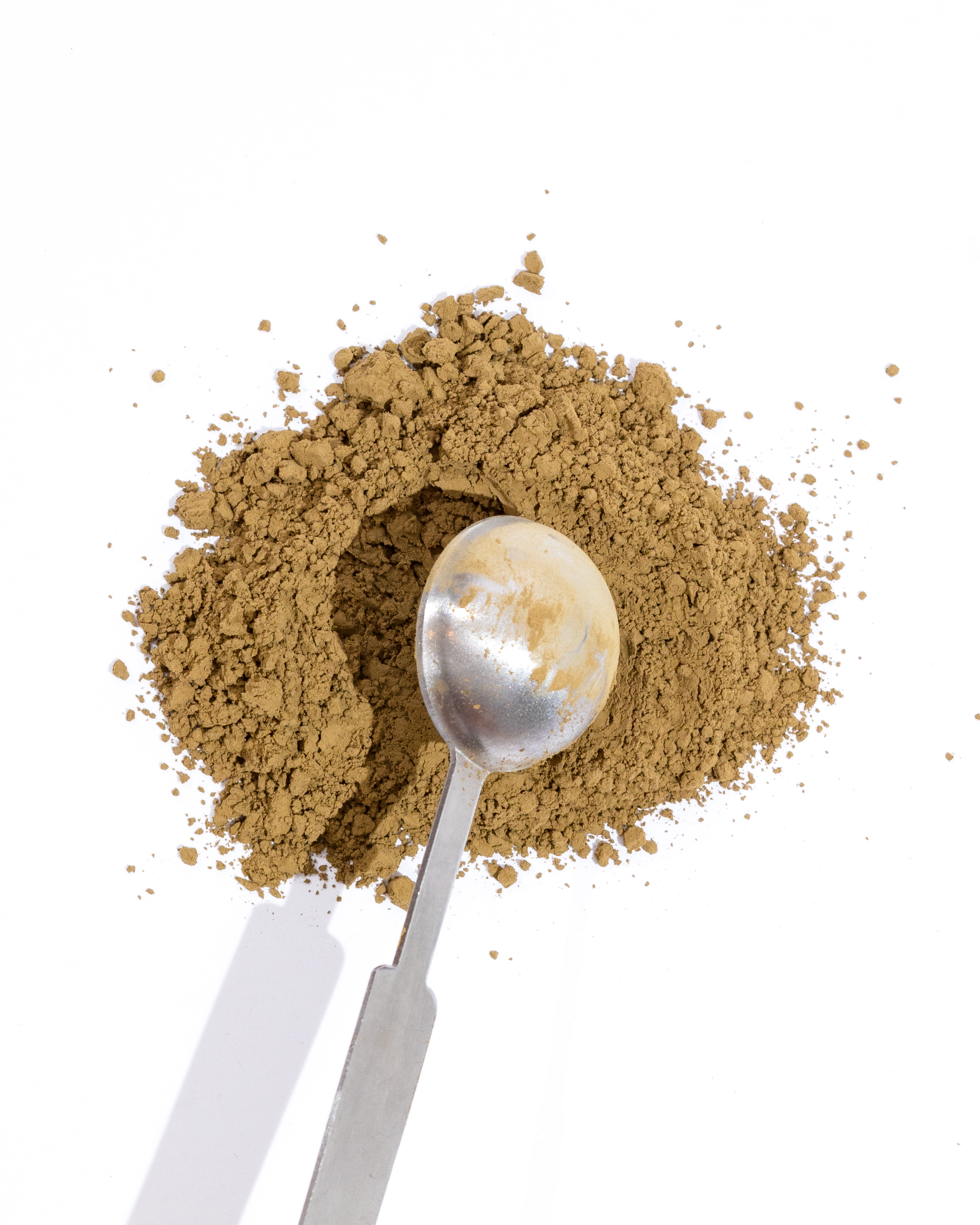 HOJICHA---1X1A7988.png