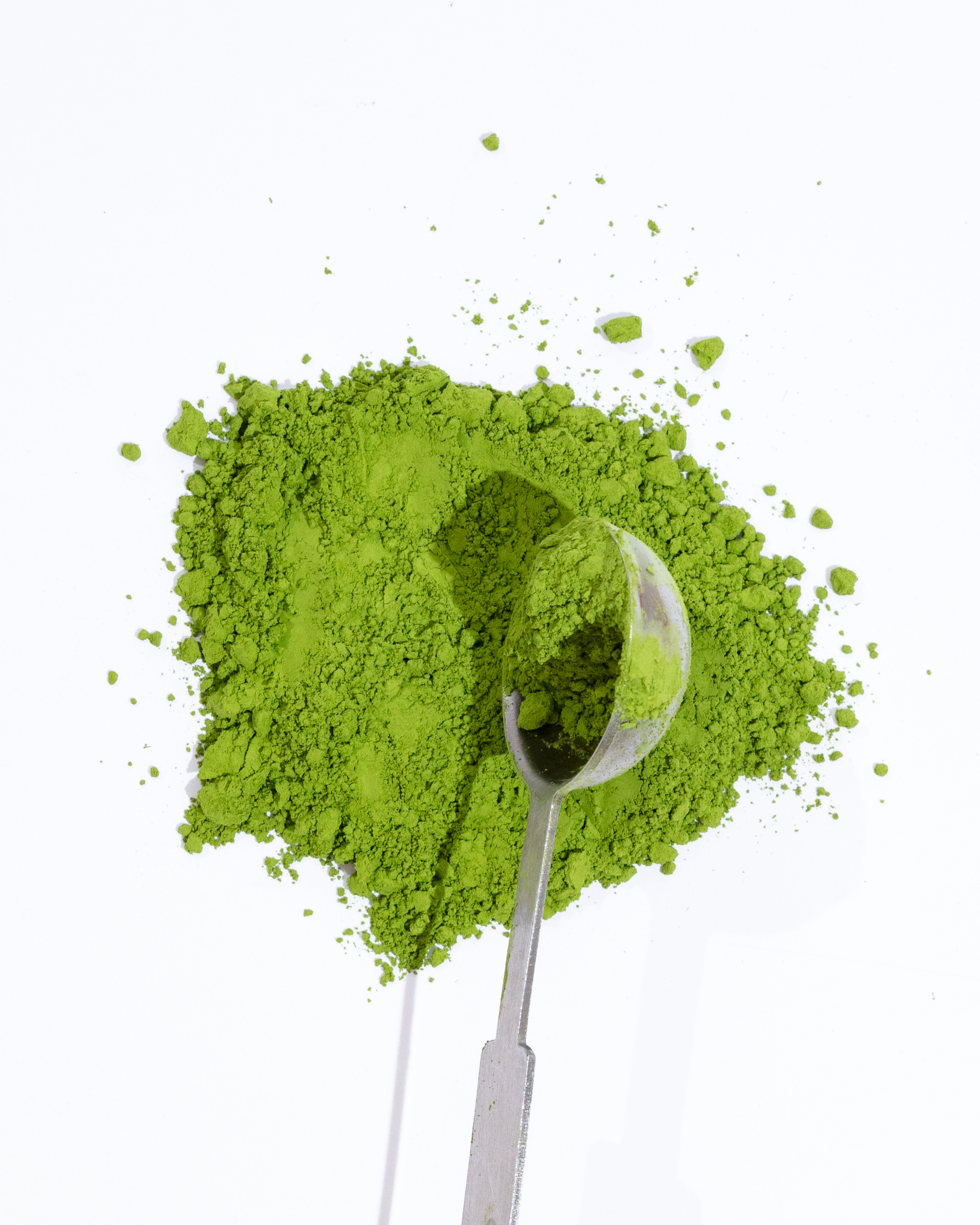 UJI-BLEND---1X1A7941.png