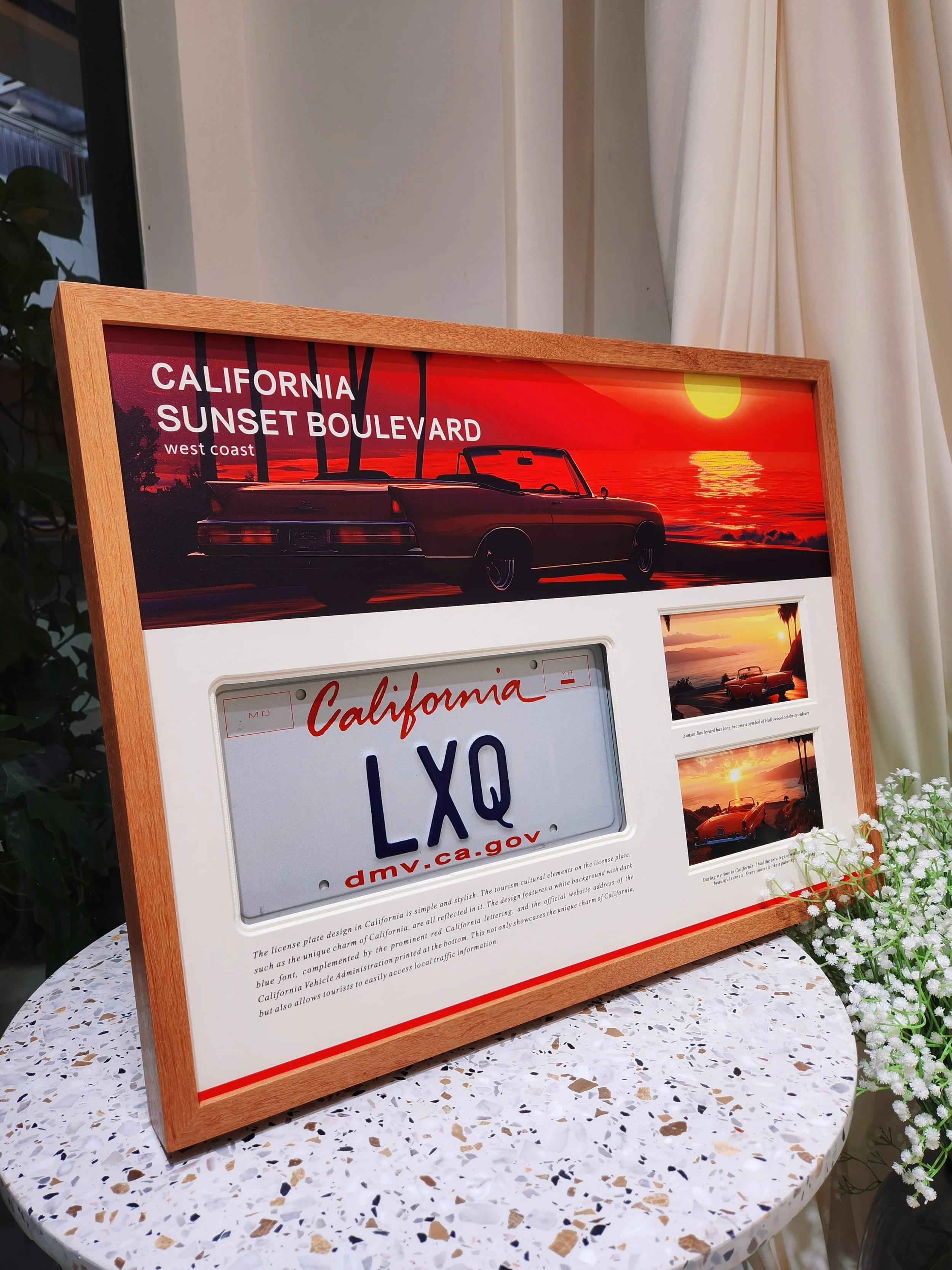 Licence plate project: