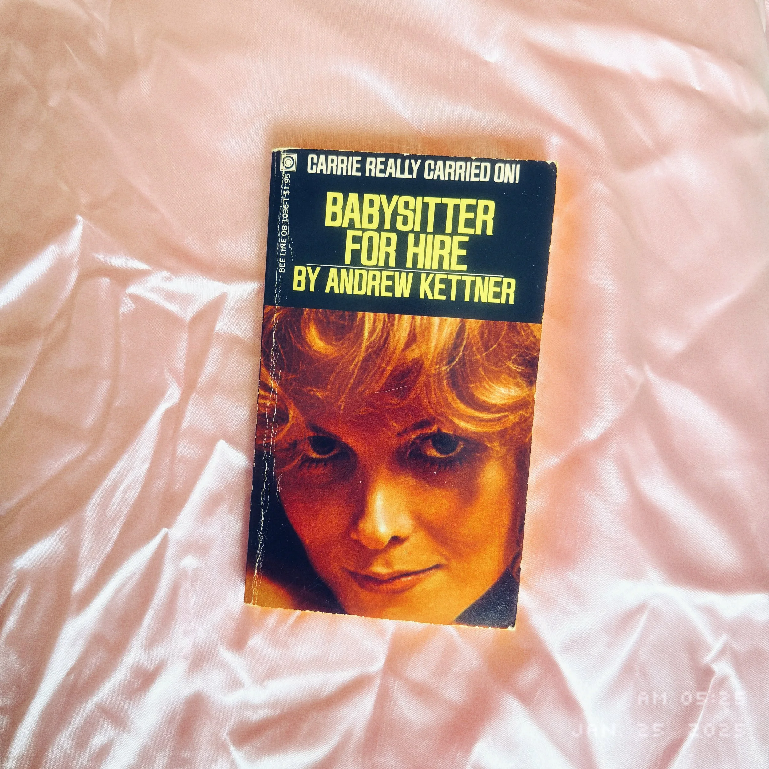 Babysitter for Hire by Andrew Kettner