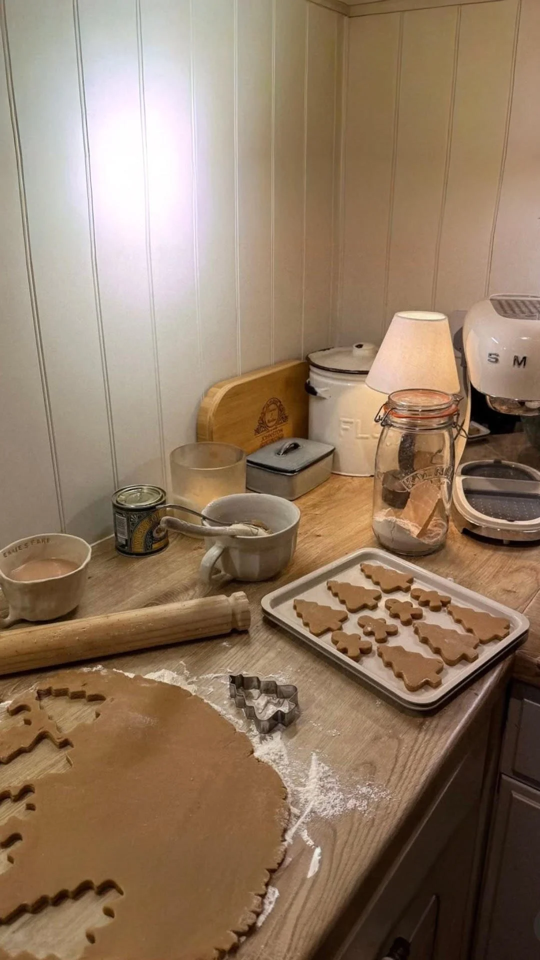 All the Lights, None of the dyes: The Joys of a MAHA Christmas