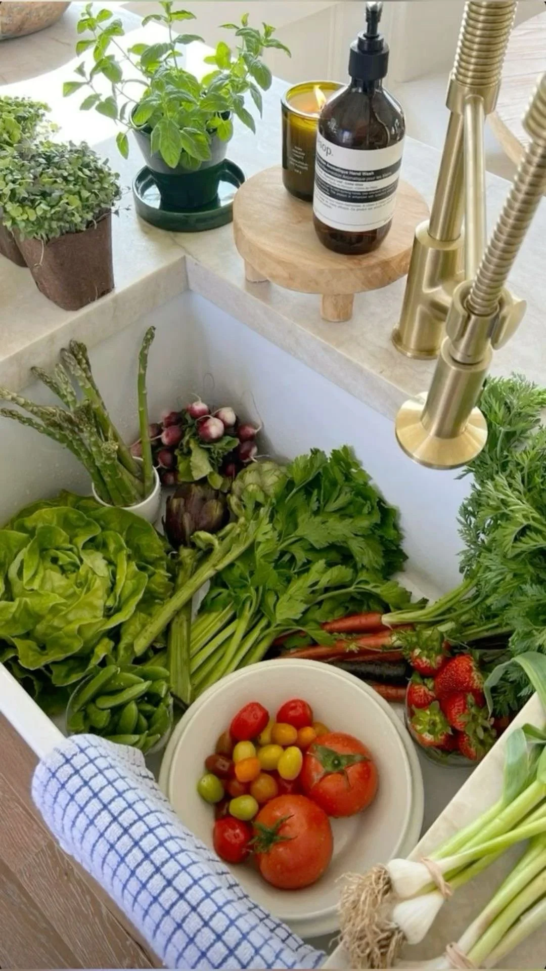 From Your Plate to Your Lungs: The Silent Toxins Making Americans Sick