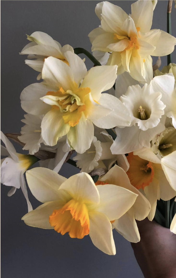 Screen Shot 2025-11-15 at 9.28.05 PM.png