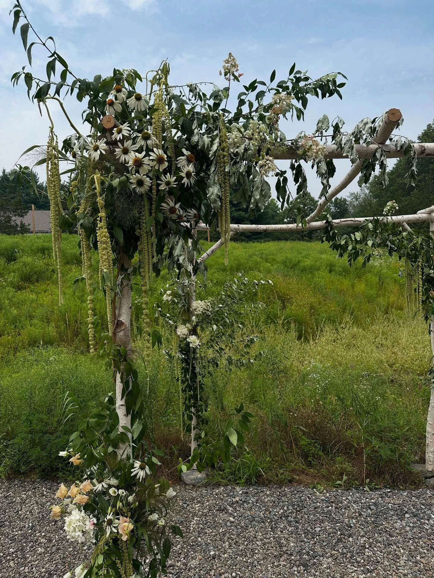 @seachangeflower meadow magic at @friends_and_neighbors_