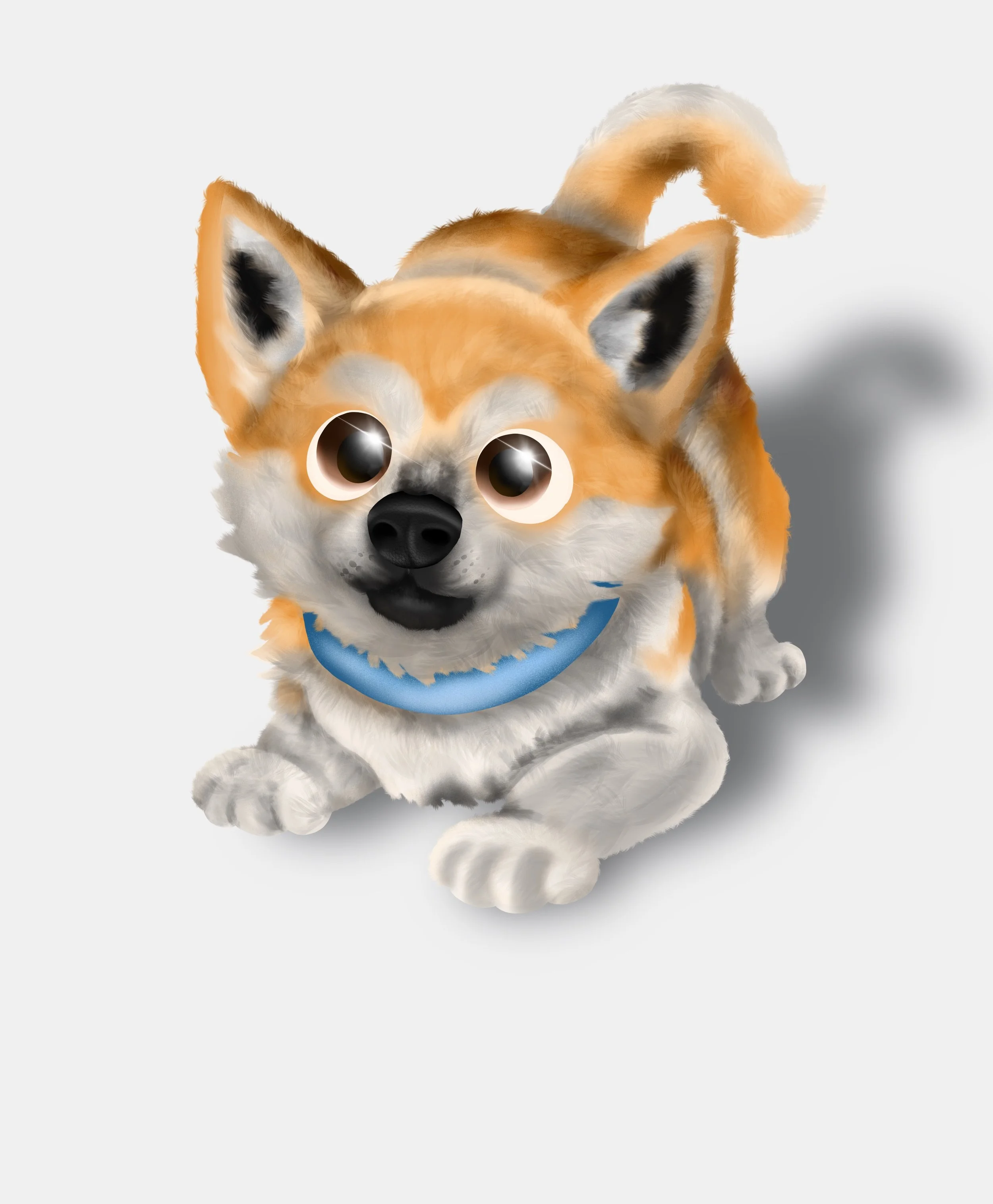 Koda.jpg