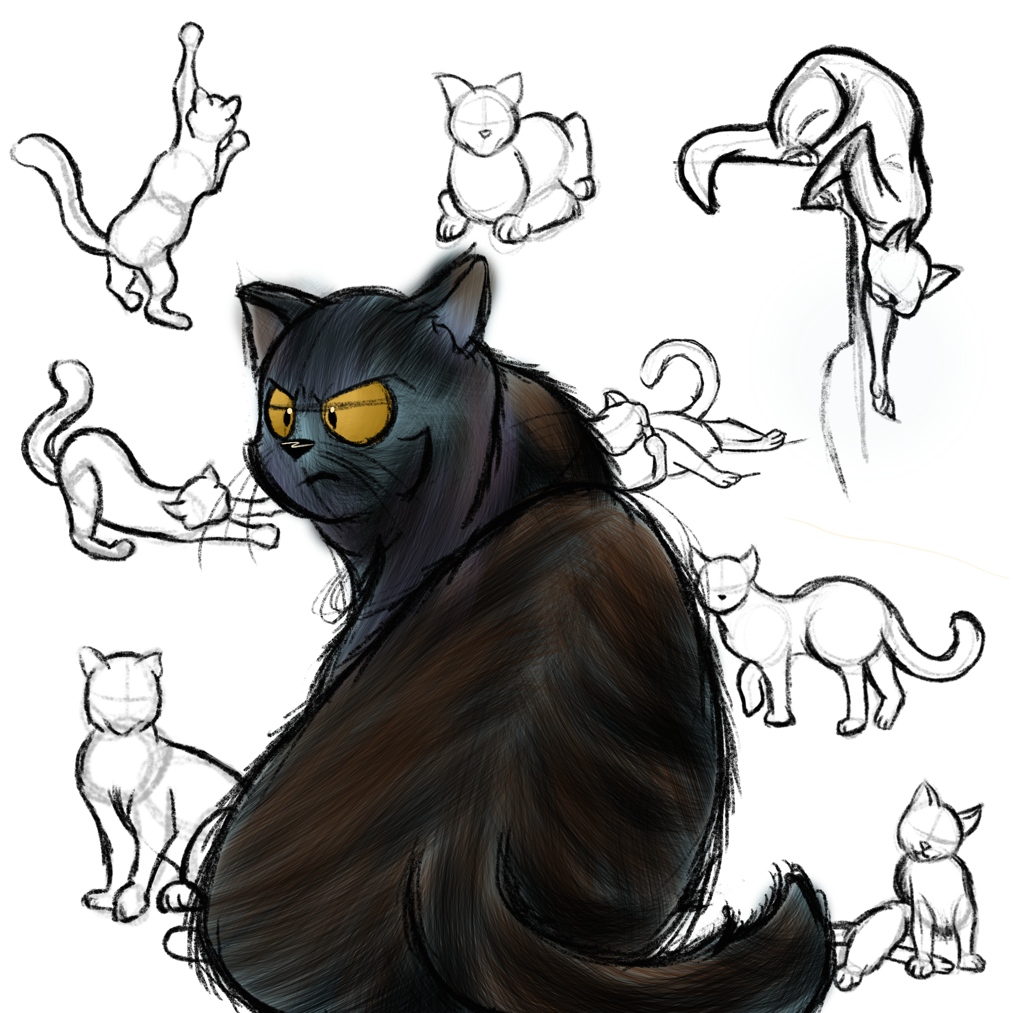 A digital drawing features a detailed, realistic black cat with yellow eyes in the foreground. Surrounding the cat are rough sketches of multiple other cats in various positions and poses, some of which are still in outline form while others are part