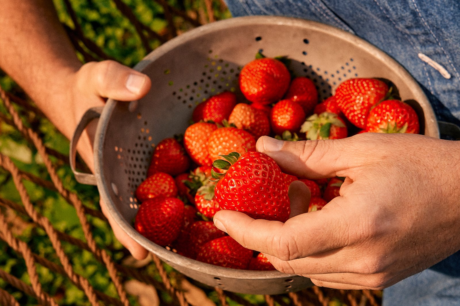 032025.Oishii.MackenzieSmith 94.jpg