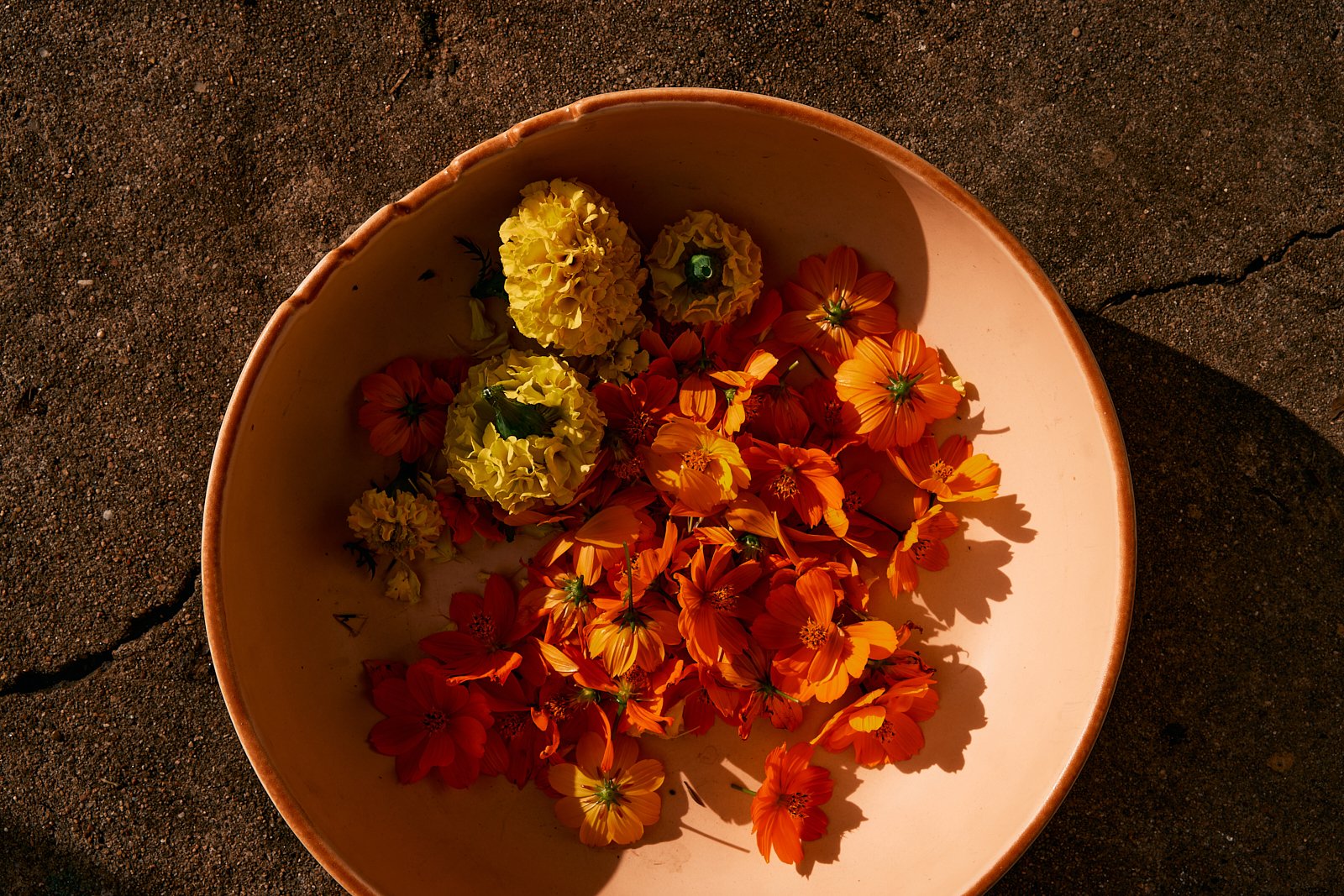 AimeeNelson.MSK 29.jpg