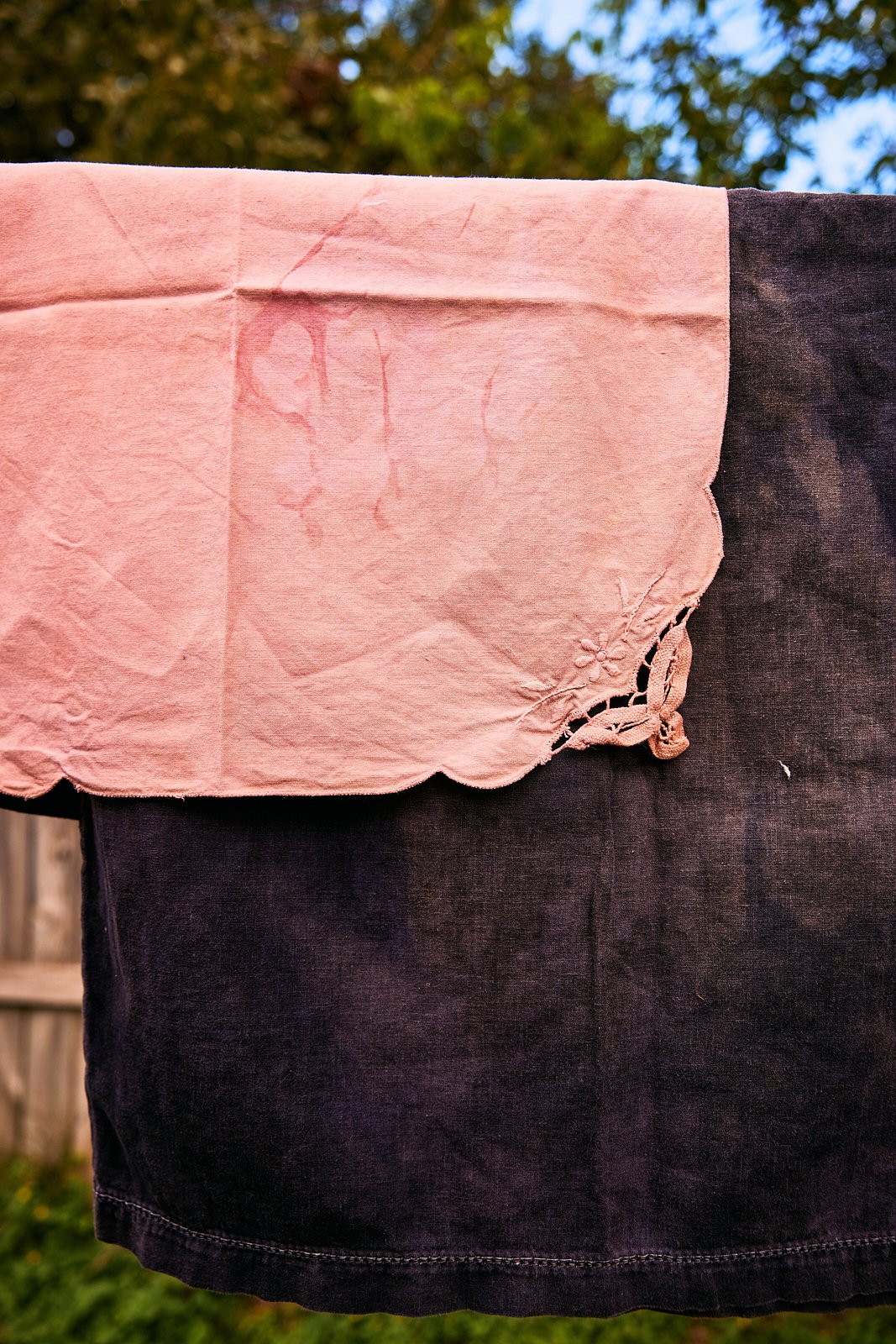 AimeeNelson.MSK 1.jpg