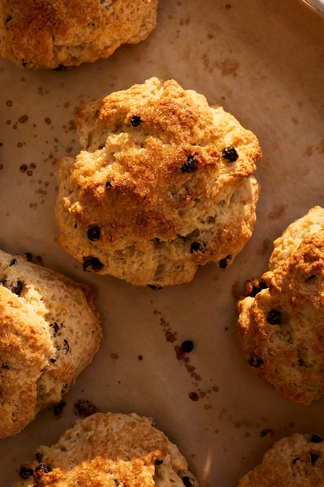 Scones for Priya's Kitchen Adventures cookbook. Image by Austin-based food photographer, Mackenzie Smith.