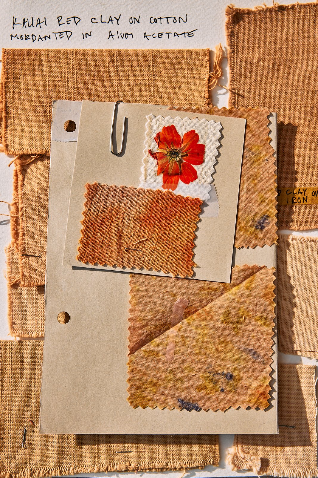 AimeeNelson.MSK 65.jpg