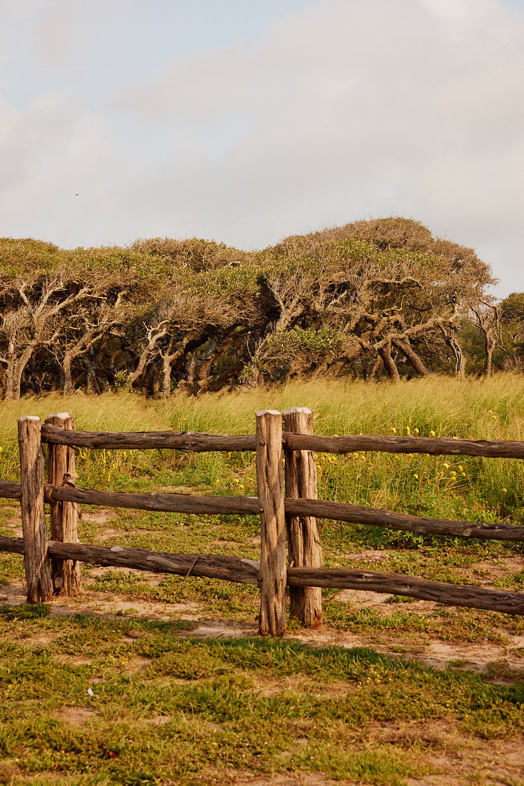 BentOaks.Rookery.Rockport.MS 60.jpg