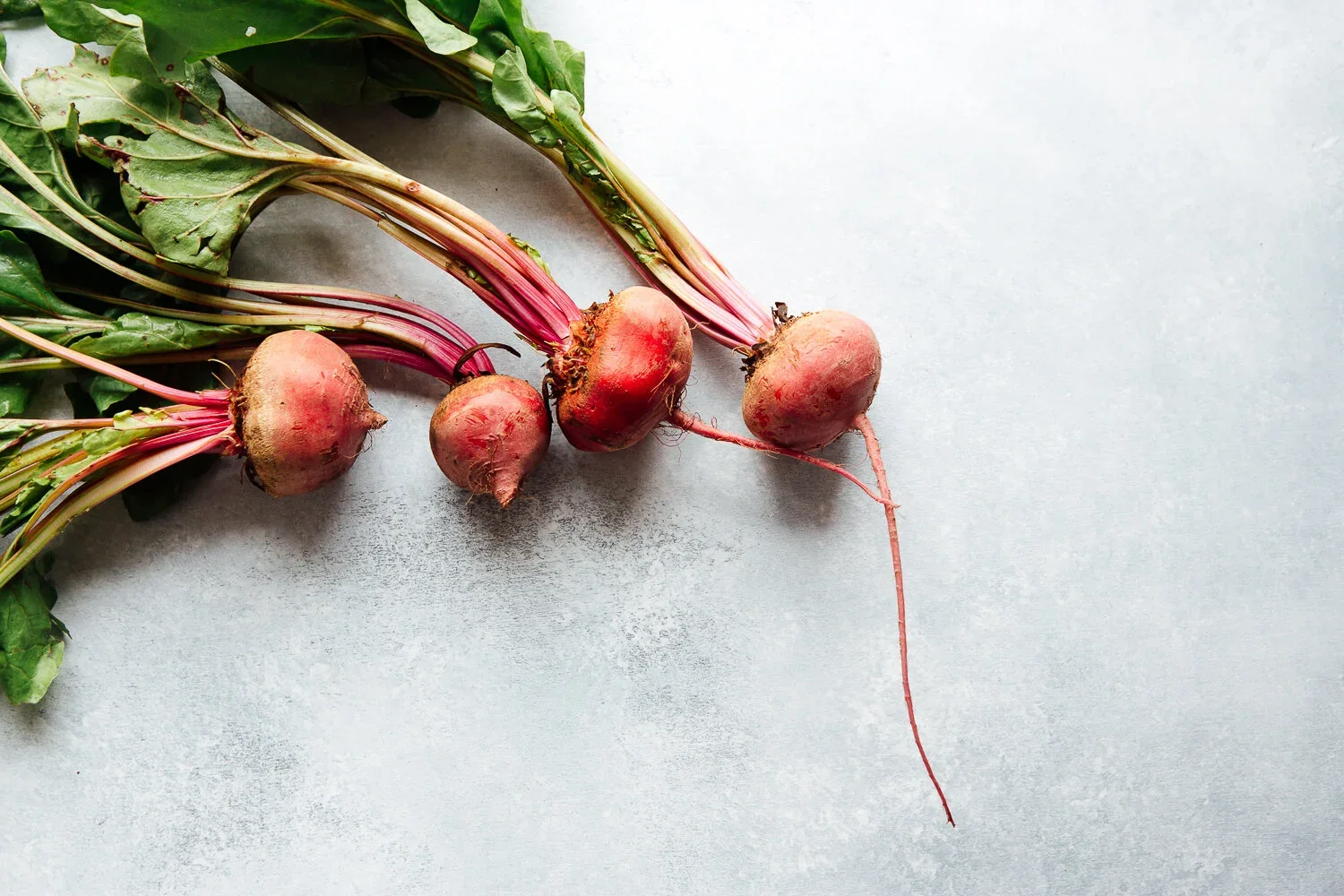Chiogga beets by Austin-based food photographer, Mackenzie Smith.