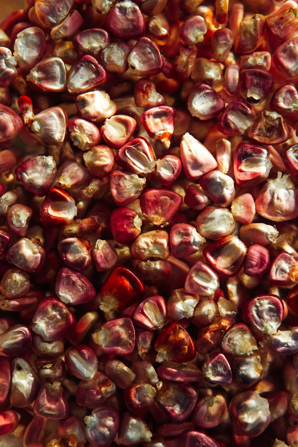 Hominy by Austin-based food and lifestyle photographer Mackenzie Smith.