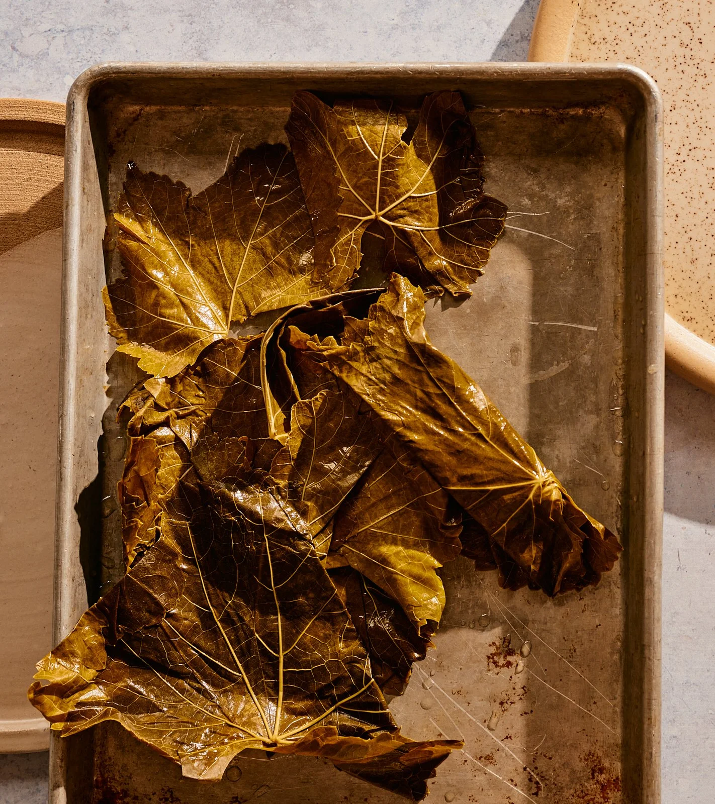 Grape leaves for dolmades in Priya's Kitchen Adventures cookbook. Image by Austin-based food photographer, Mackenzie Smith.