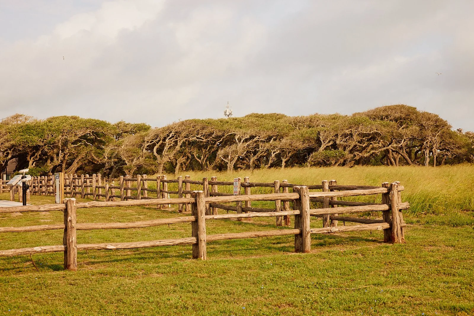 BentOaks.Rookery.Rockport.MS 58.jpg