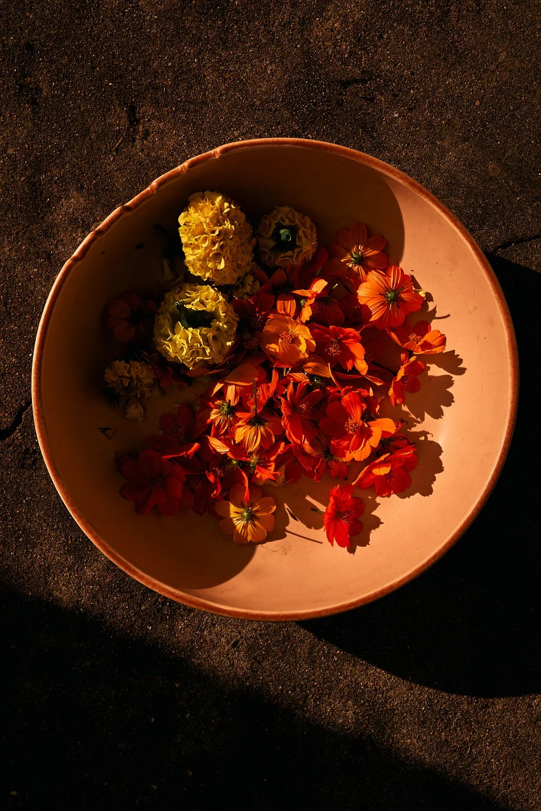 AimeeNelson.MSK 28.jpg