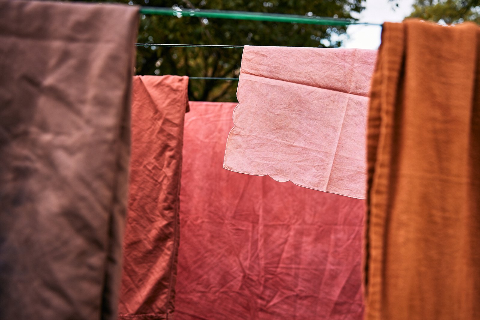 AimeeNelson.MSK 4.jpg