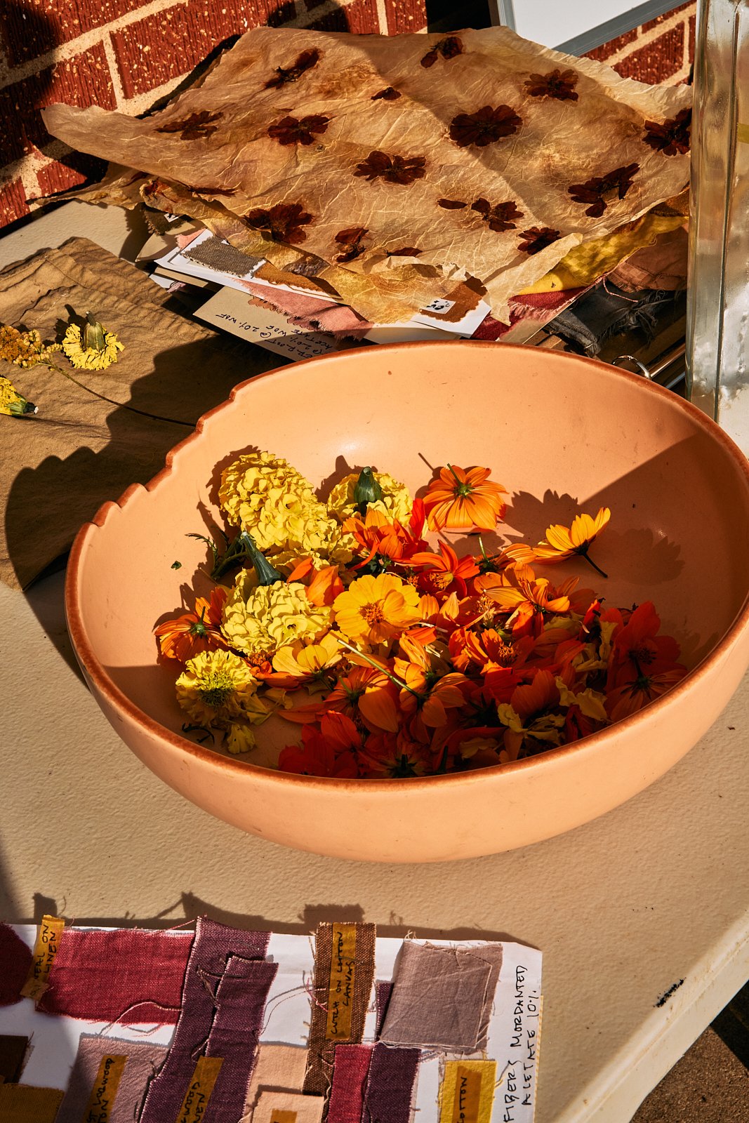 AimeeNelson.MSK 34.jpg