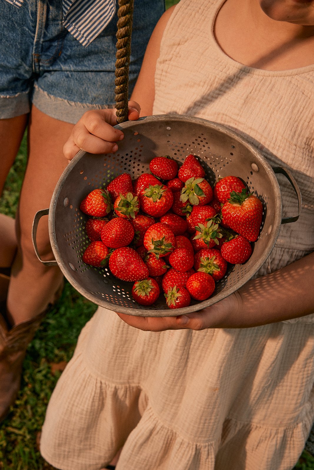 032025.Oishii.MackenzieSmith 152.jpg