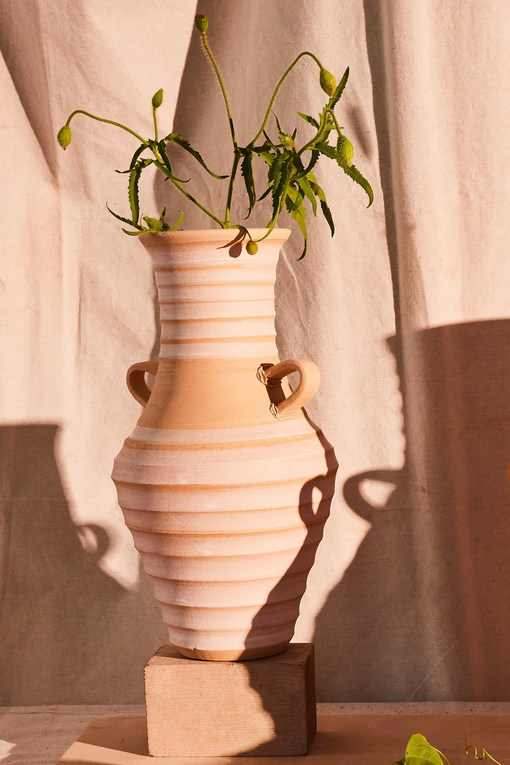 Settle Ceramics, handmade ceramics in Austin, TX. Image and styling by Austin-based product and lifestyle photographer, Mackenzie Smith.