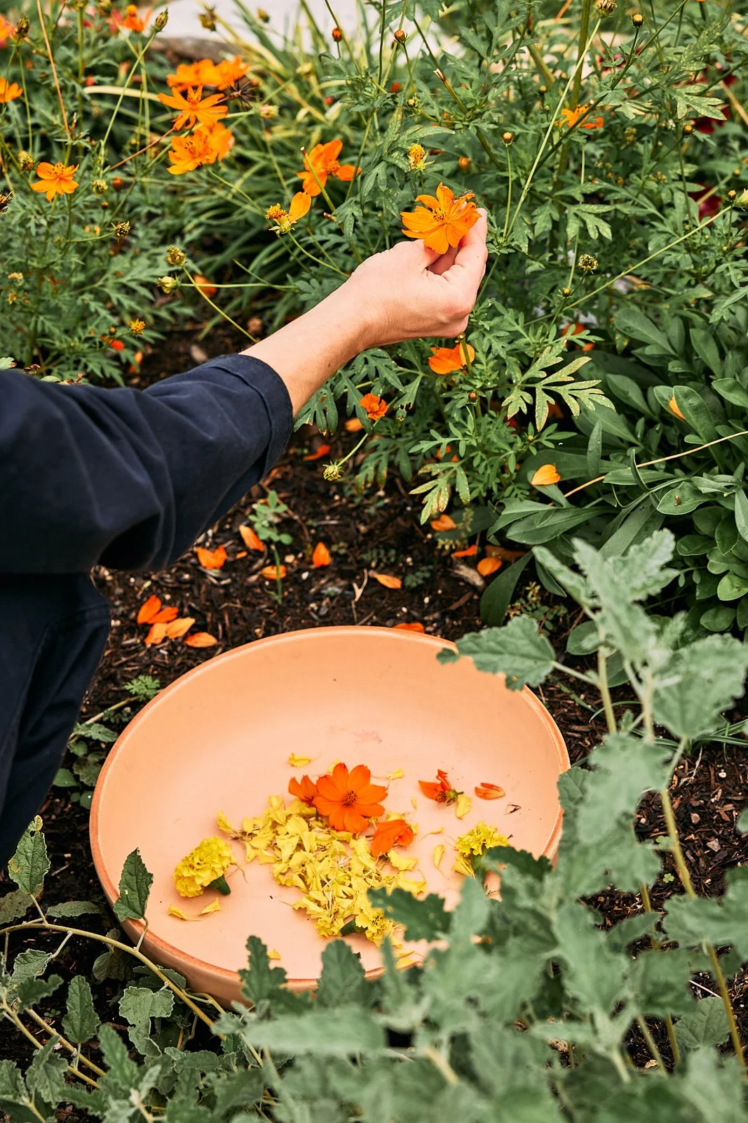 AimeeNelson.MSK 21.jpg