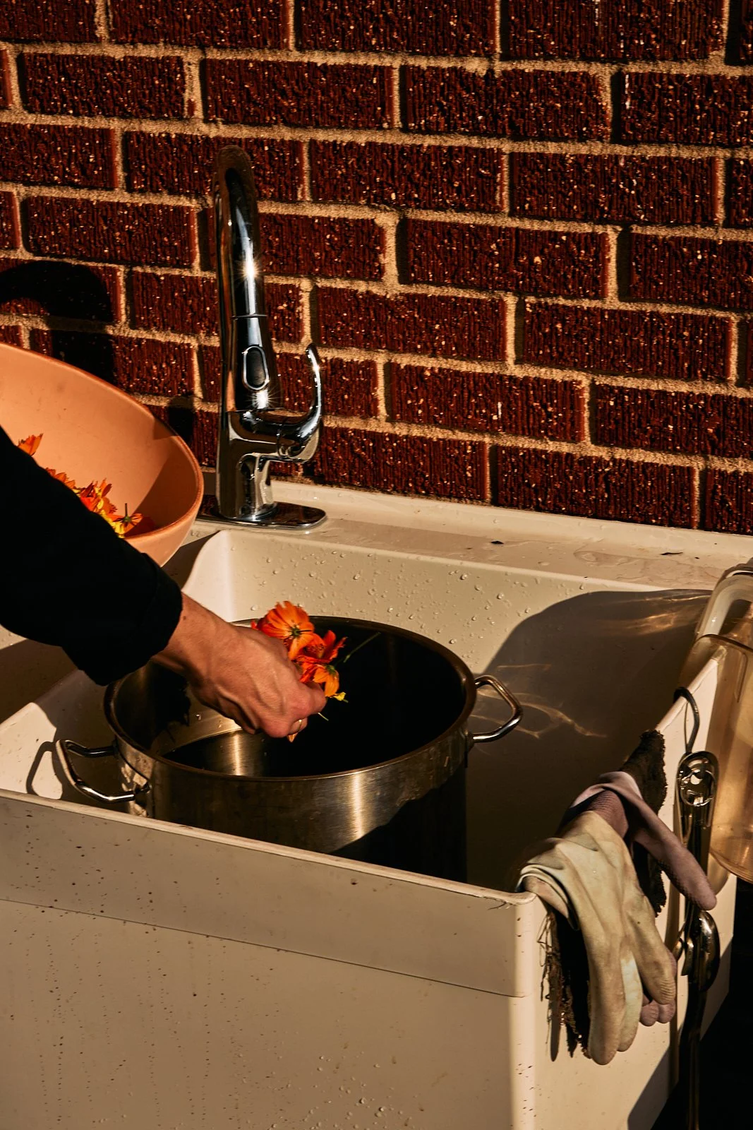 AimeeNelson.MSK 36.jpg