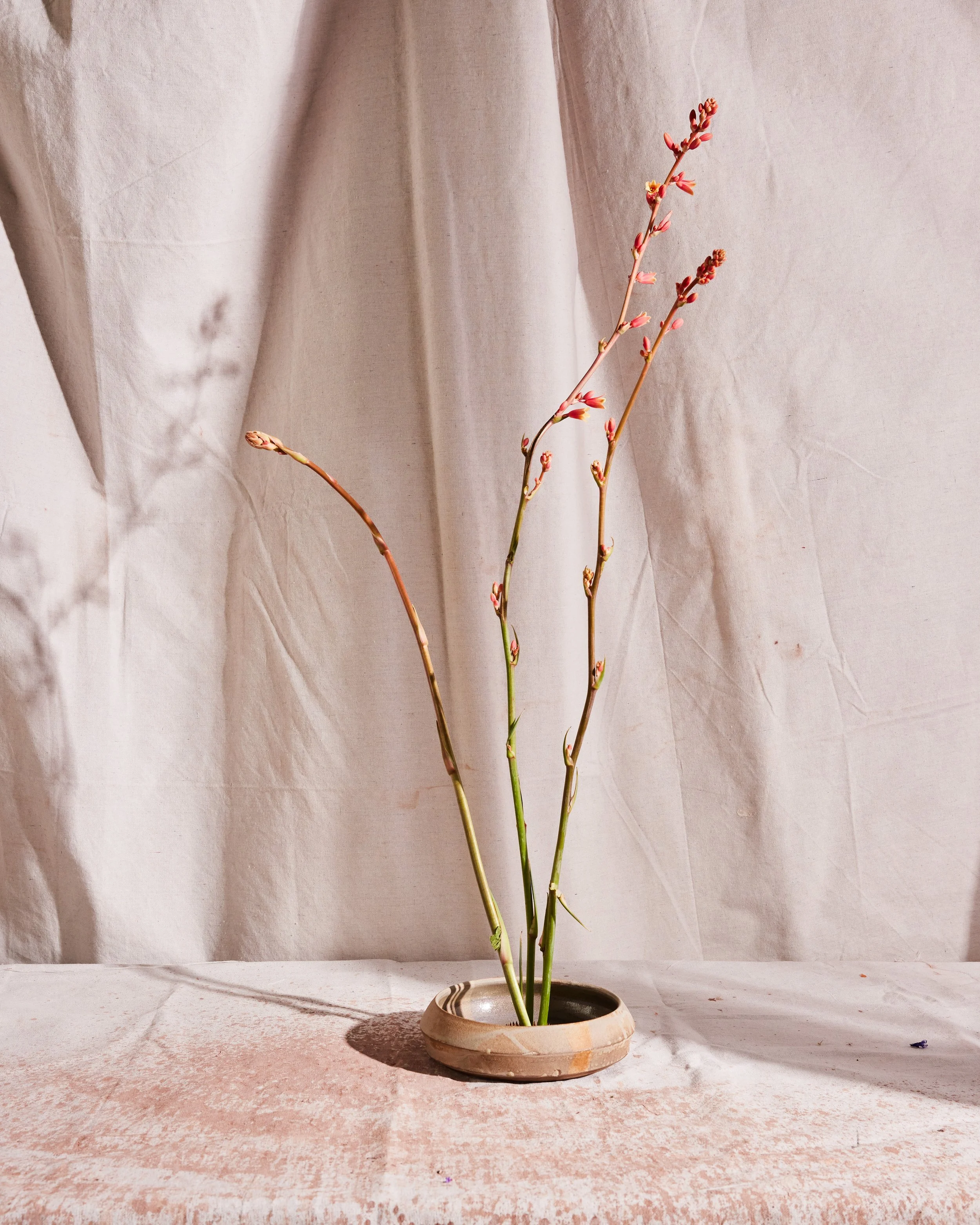 Settle Ceramics, handmade ceramics in Austin, TX. Image and styling by Austin-based product and food photographer, Mackenzie Smith.