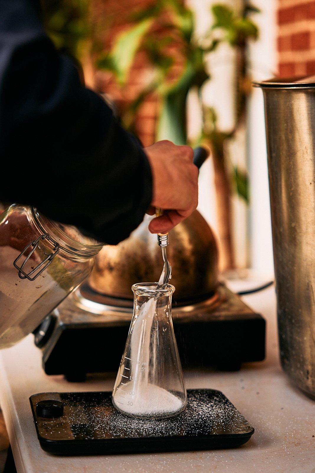 AimeeNelson.MSK 7.jpg