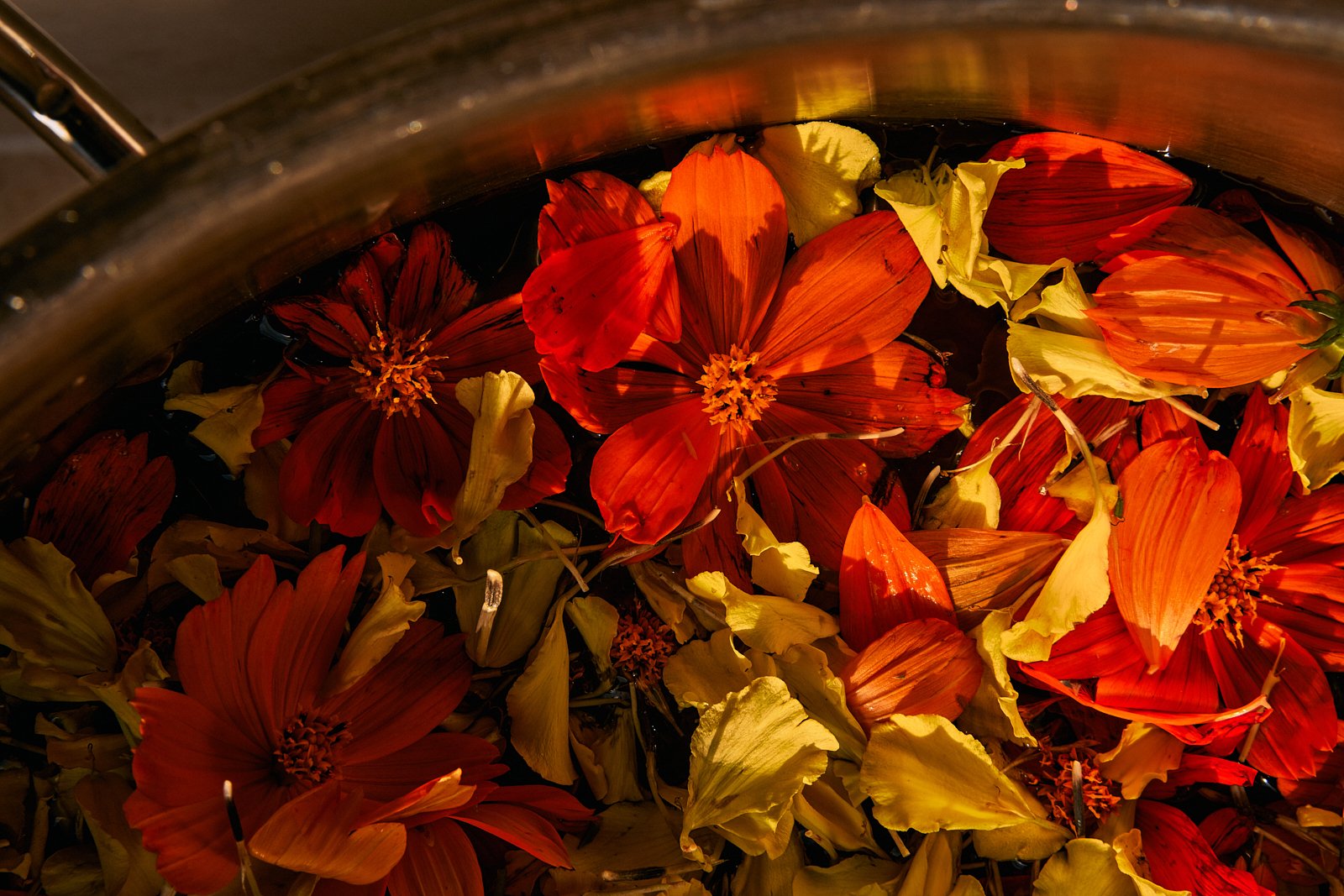 AimeeNelson.MSK 43.jpg