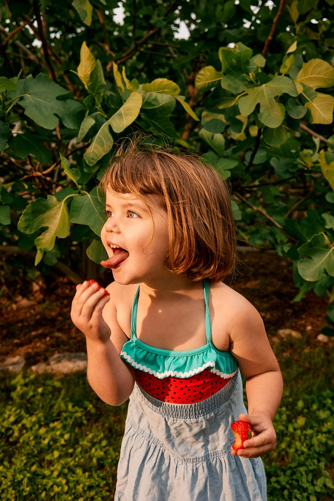 Oishii Berry, 2025. Image by product and lifestyle photographer, Mackenzie Smith.