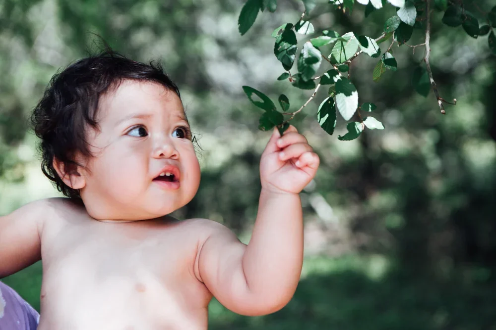 Baby, meet tree. Image by Austin-based lifestyle photographer, Mackenzie Smith.