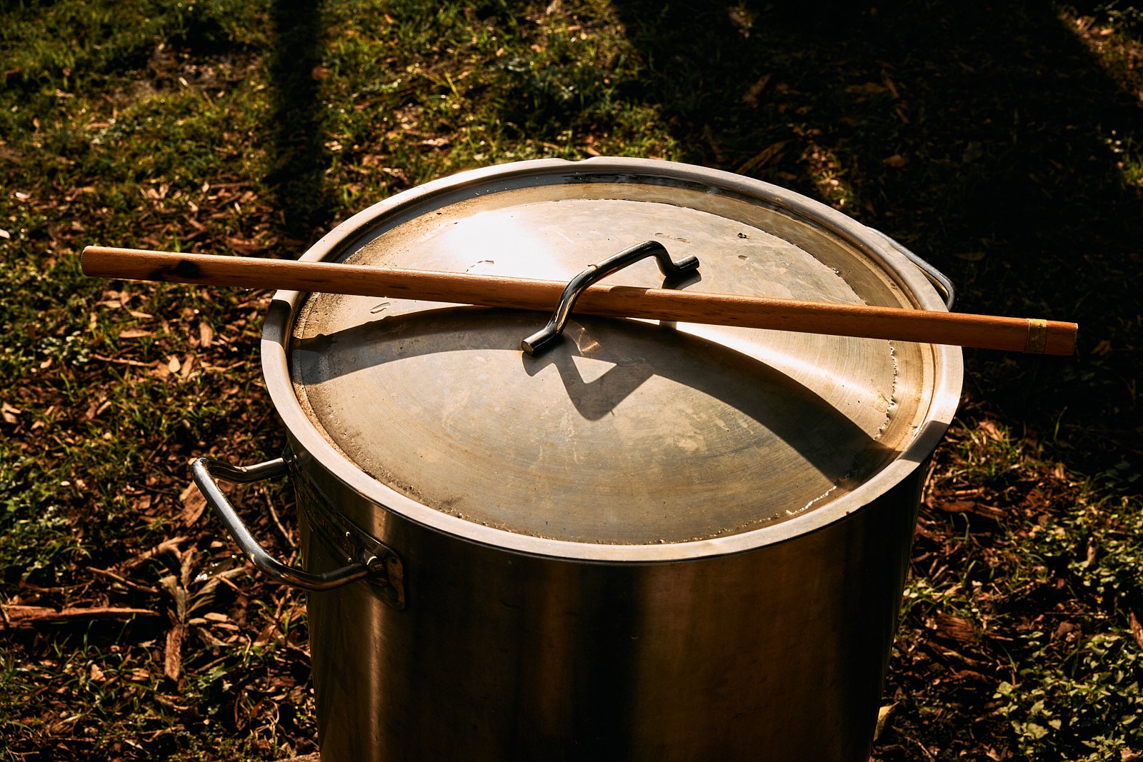 AimeeNelson.MSK 33.jpg