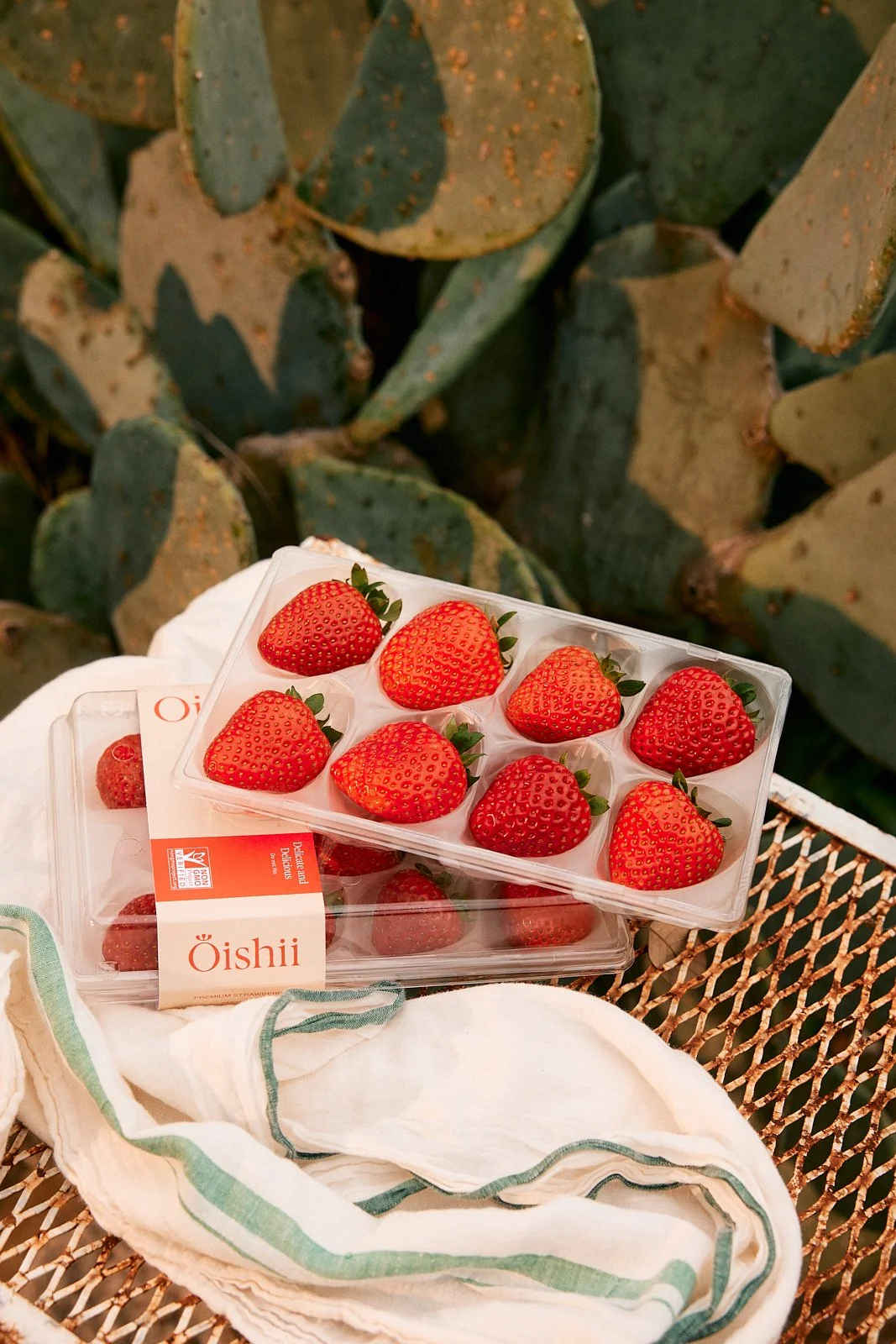 032025.Oishii.MackenzieSmith 188.jpg