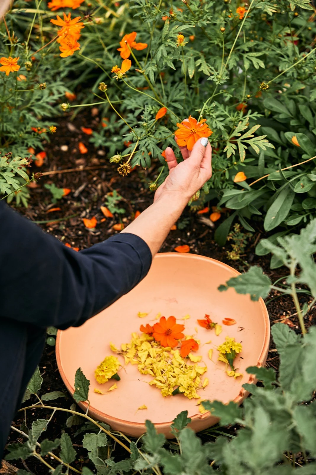 AimeeNelson.MSK 22.jpg