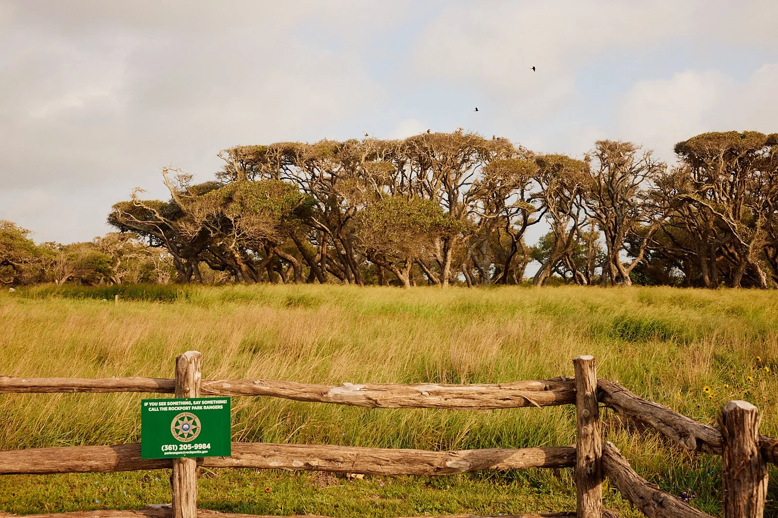BentOaks.Rookery.Rockport.MS 35.jpg