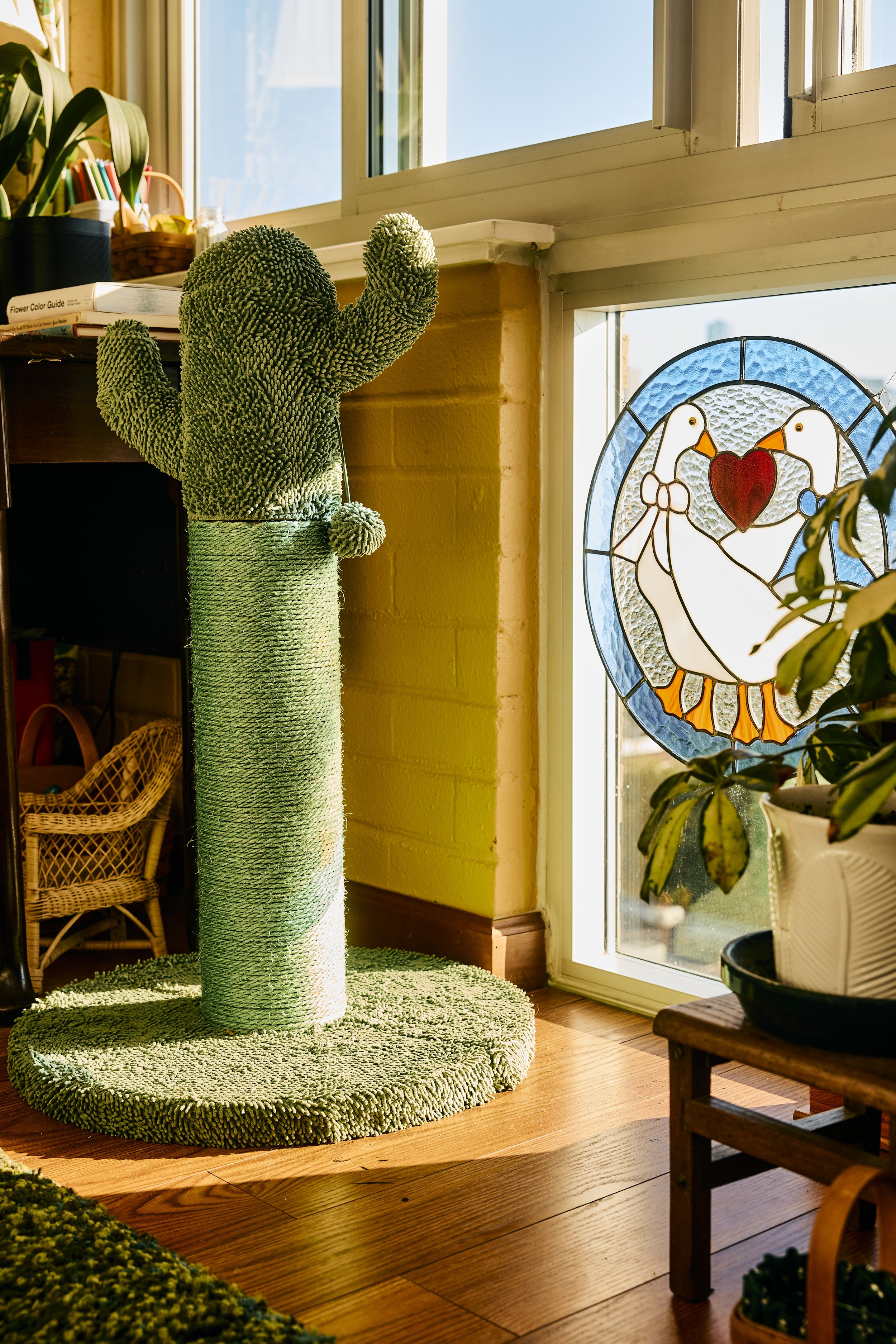 A cactus cat tree and a stained glass cat door featuring geese in Zach and Taylor's Houston, TX apartmeent. Image by Austin-based lifestyle photographer, Mackenzie Smith.