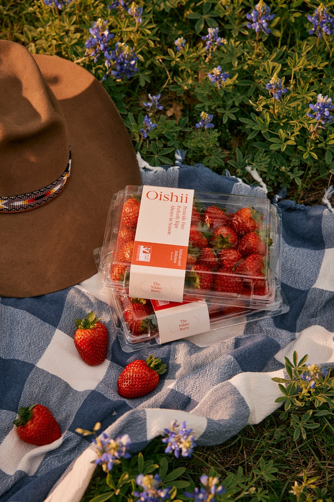 032025.Oishii.MackenzieSmith 8-Edit.jpg